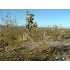 30050 N SKIPPER COVE, Meadview, AZ - MLS 827932