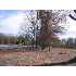 259 Willis Road, Spartanburg, SC - MLS 177348