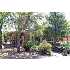 121 S Lakeshore Road, Payson, AZ - MLS 58484