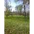 Bluebird Drive, Coldwater, MI - MLS 2916871