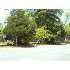 214 E Altamaha Street, Fitzgerald, GA - MLS 117069