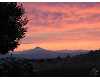Click here to View Real Estate near 804 east ridgeview dr Culver, OR 97734 homes near 804 east ridgeview dr Culver, OR 97734