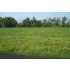 53 Patriots Landing Ln, Falls of Rough, KY - MLS 1