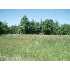 000 True Road, McConnells, SC - MLS 1060503