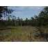 0 E Old Tremont Road, CORDELE, GA - MLS 51103