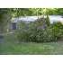 104  SCHUYLER ST, Lake George, NY - MLS 29109237