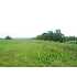2021 Vecchione, Strong, ME - MLS 934070