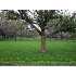 400 East, Valparaiso, IN - MLS 239273
