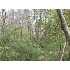 1431 Sandtown Road, Marietta, GA - MLS 2634706