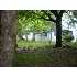 1028 OLD BEAR CK RD , Vanleer, TN - MLS 1082284