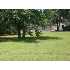Lot 232 Herndon Rd., Little Rock, AR - MLS 10225857