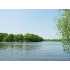 4233 WINDIATE PARK DR , WATERFORD, MI - MLS 29074236