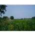 HARTEL, GRAND LEDGE, MI - MLS 190874