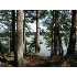 ON AUTUMN ANN RD, Saint Germain, WI - MLS 103562