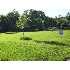 1 Bellevue St, Pacific, MO - MLS 90029787