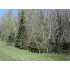 ON HWY A, Phelps, WI - MLS 103612