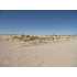 Unit 56 DR, Deming, NM - MLS 20107418
