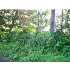 00 Dudley Center road, Dudley, MA - MLS 70930959