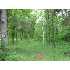 27770 Parkview Dr, Pinc City, MN - MLS 3697050