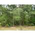 LOT 1 PHILLIPI CHURCH ROAD, RAEFORD, NC - MLS 329294