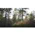 Beaver RD, Mt. Carmel, UT - MLS 09-110960