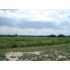 TBD Avondale Blvd, Avondale, CO - MLS 124212
