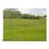 8310 REICHARD RD, FAIRPLAY, MD - MLS WA7074988