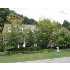 6426 WOODCLIFFE CT, HASLETT, MI - MLS 191326