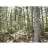 Rt 155, Lagrange, ME - MLS 938166