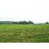 2046 Daku, Farmington, ME - MLS 938146