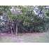 148 NE 11th St, Oak Island, NC - MLS 638614