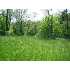 3069B Oakland Rd, Mt Olivet, KY - MLS 811328