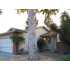 717 Heather Pl, Brentwood, CA - MLS 717H
