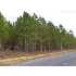 lot 2 Whispering Pines Drive, ROCHELLE, GA - MLS 50595