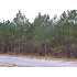 lot 3 Whispering Pines Drive, ROCHELLE, GA - MLS 50596
