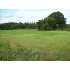 0 Williford Crossing Road, CORDELE, GA - MLS 51153