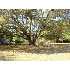 0 Daniels Road, Tampa, FL - MLS T2371650