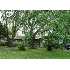 9310 Chilton Street, Spring Hill, FL - MLS 2110291