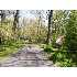 Avondale Drive, Long Beach, IN - MLS 240068