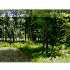 Off Route 116 Highway, Howland, ME - MLS 938944