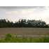 TBD Hwy 501 and Night Owl Lane, Conway, SC - MLS 912740