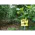 11 HOWARDS CHAPED RD, WINCHESTER, VA - MLS FV7093924