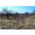 3 APPLE PIE RIDGE ROAD, WINCHESTER, VA - MLS FV7093972