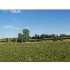 HERRINGTON, FOWLERVILLE, MI - MLS 191818