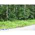 2811 Homestead Drive, Petersburg, VA - MLS 2919234