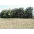 1111 Jay Rogers Ct, Traverse City, MI - MLS 1705959