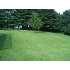 11711 PINESBURG RD, WILLIAMSPORT, MD - MLS WA7097052