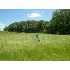15411 St Rd 9, Hope, IN - MLS 20901039