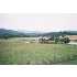 1453 Lynch Mountain Road, Saute Nacoche, GA - MLS 87961