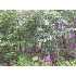 2060 Blodgett, Temple, ME - MLS 940517